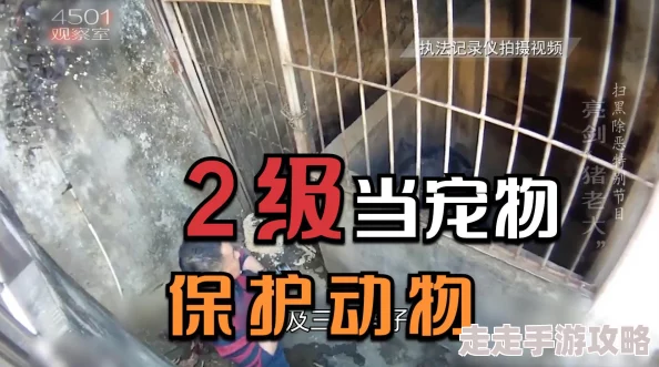 探索帝国与魔法世界中超级宠物的独特特点及多元获得方式 探索帝国与魔法世界中超级宠物的独特特点及多元获得方式