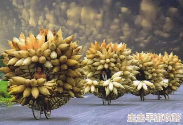 14may18_XXXXXL56民族＂震惊全球：意外发现古老文明遗迹，改变我们对人类历史的认知！