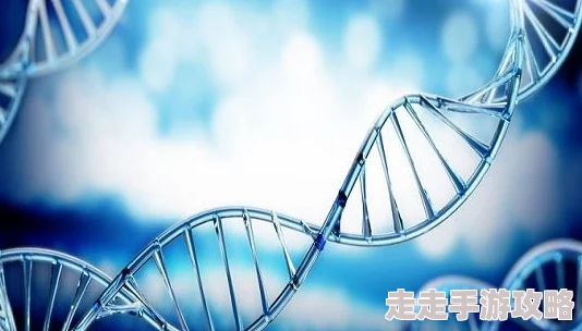 精品欧洲一码二码指的是高质量、独特的欧洲商品编码系统