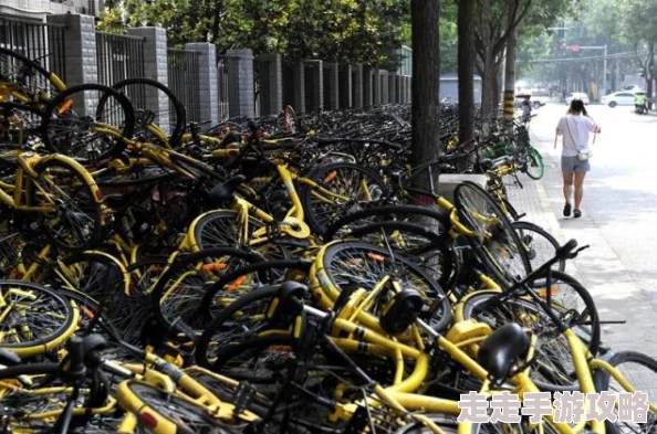 逼逼逼逼逼逼小区新增共享单车停放点方便居民出行