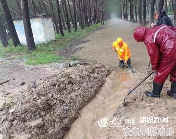 《肚子疼是真的》小说全城暴雨我与时间赛跑（重生回到二十四小时前）勇敢面对挑战创造美好未来