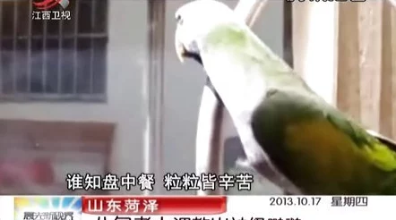 调教主奴bdsm虐女近日一场引发热议的BDSM活动在某地举行，吸引了众多爱好者参与