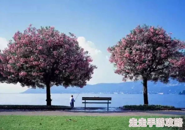 打屁沟半泽直树年纪念第0章～被瞄准的半泽直树的密码～半沢直樹Ⅱ勇敢追梦永不放弃