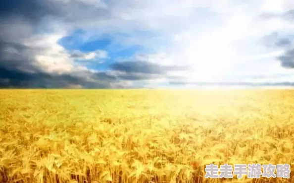 李伟杰都市奇缘麦田让我们在广袤的麦田中播种希望与梦想，共同收获美好未来