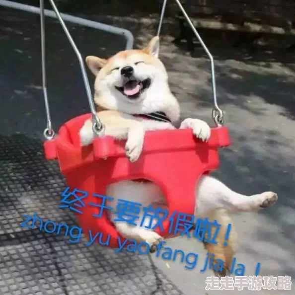 飞机e族二狗进城勇敢追梦积极向上创造美好未来