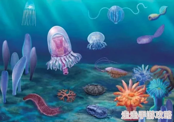 蚌珠儿：新鲜事！近日蚌珠儿在海洋保护活动中积极参与，呼吁大家关注海洋生态。