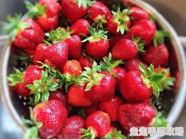 抖音成长人版我的草莓胶卷心怀梦想勇敢追逐每一个精彩瞬间