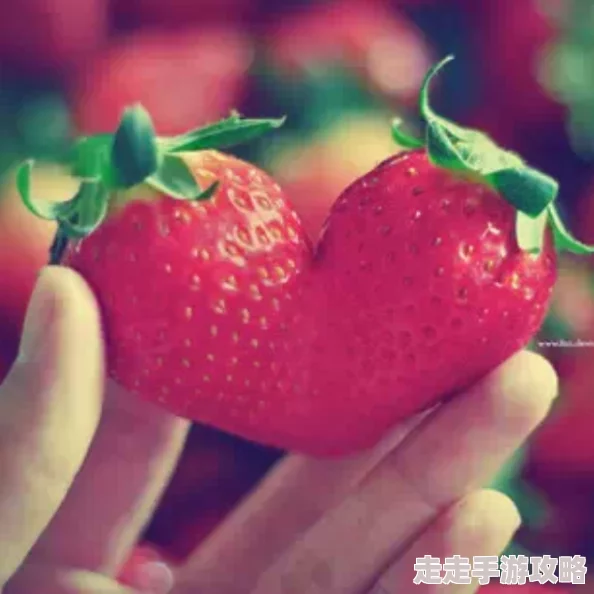 抖音成长人版我的草莓胶卷心怀梦想勇敢追逐每一个精彩瞬间