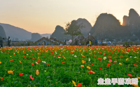 春色派春季花卉展览即将开启,欢迎大家前来欣赏绚丽花海 春色派春季花卉展览即将开启,欢迎大家前来欣赏绚丽花海