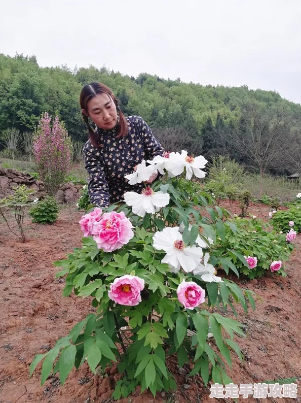 春色派春季花卉展览即将开启,欢迎大家前来欣赏绚丽花海 春色派春季花卉展览即将开启,欢迎大家前来欣赏绚丽花海