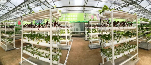 樱桃视频安装无限看丝瓜最新版本支持更多视频格式和更流畅的播放体验 樱桃视频安装无限看丝瓜最新版本支持更多视频格式和更流畅的播放体验