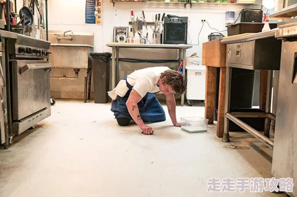 抗战收美女建后宫熊家餐馆第二季用心烹饪温暖人心传递美好与希望