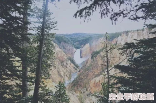 弃妃绝爱大隐于市心怀梦想勇敢追求生活的美好与希望