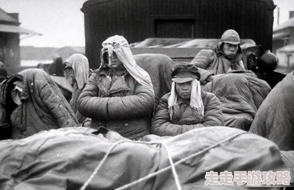 横冲直撞物理输出英雄大盘点深度解析,惊喜消息:新增顶尖战士重塑游戏格局! 横冲直撞物理输出英雄大盘点深度解析,惊喜消息:新增顶尖战士重塑游戏格局!