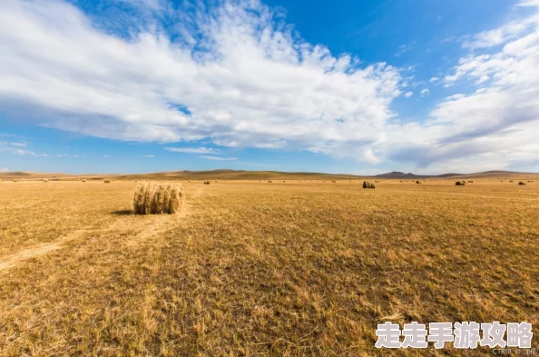 青青草原成人绵羊反抗军揭竿而起引发草原大乱 青青草原成人绵羊反抗军揭竿而起引发草原大乱