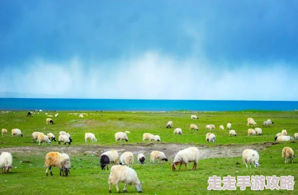 青青草原成人绵羊反抗军揭竿而起引发草原大乱 青青草原成人绵羊反抗军揭竿而起引发草原大乱