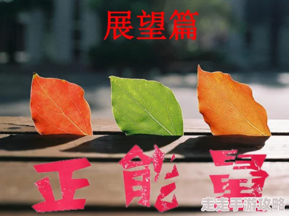 大乳政妇完整在线观看积极向上，传递正能量，鼓励每个人追求梦想与幸福