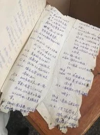 不能动小说假千金手撕剧本勇敢追梦实现自我价值