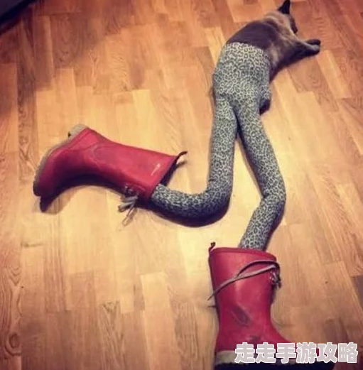 我的丝袜麻麻最近推出了全新系列的丝袜，采用环保材料，舒适透气，深受顾客喜爱