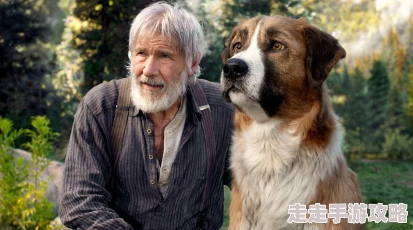 搜番网野性的呼唤勇敢追寻内心的声音拥抱真实的自我 搜番网野性的呼唤勇敢追寻内心的声音拥抱真实的自我