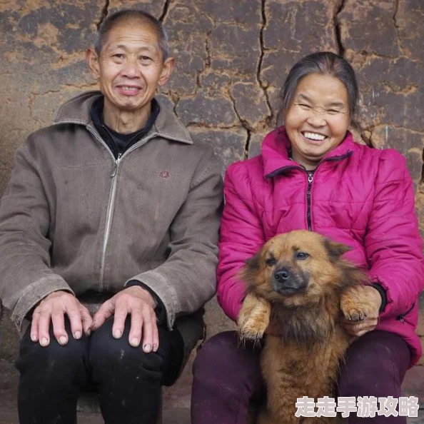 5060爽老王和老李的退休生活迎来新的挑战邻居家的宠物狗走丢了引发了一系列啼笑皆非的故事