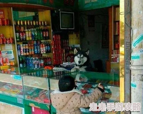 很黄很污的动图gif邪恶美女资源审核中请耐心等待