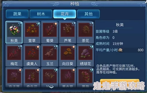 倩女幽魂手游祈愿祝福攻略：揭秘快速加成方法，惊喜加更助你战力飙升详解！