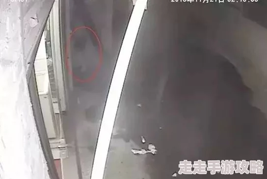 国产在沙发上午睡被强监控拍下全程警方已介入调查