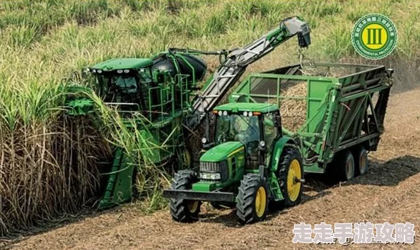 我的世界：惊喜升级！可挂机式超高效甘蔗机制作教学，解锁全新自动收获技巧！