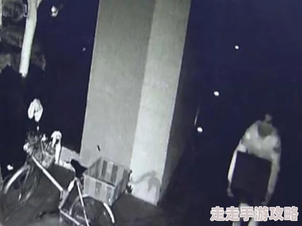 胆王钢蛋深夜街头勇斗歹徒监控曝光