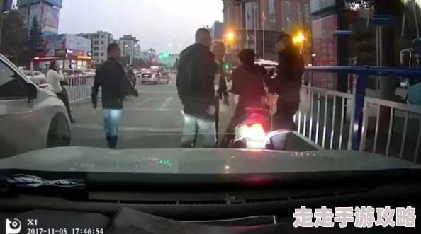 胆王钢蛋深夜街头勇斗歹徒监控曝光