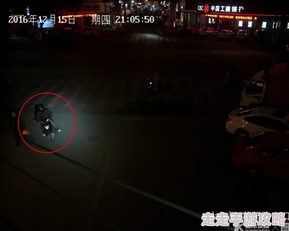胆王钢蛋深夜街头勇斗歹徒监控曝光