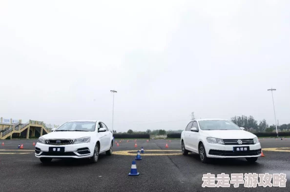 500精品导航积极向上让生活更美好