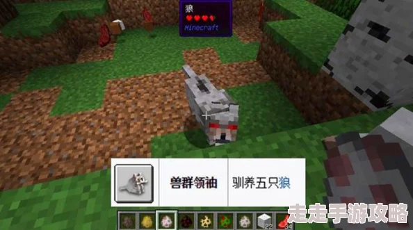 我的世界蜘蛛打法全攻略及掉落奖励一览，惊喜消息：新增稀有材料掉落概率提升！