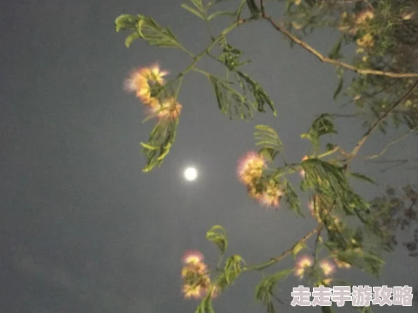 惊喜揭秘！暖暖环游世界日本区域2全S搭配攻略033，旅行者暖暖(10)解锁隐藏关卡秘籍