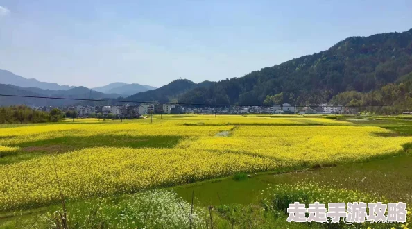 惊喜揭秘！暖暖环游世界日本区域2全S搭配攻略033，旅行者暖暖(10)解锁隐藏关卡秘籍