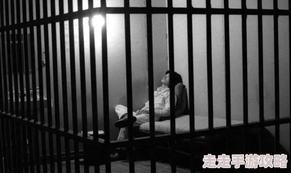 监禁时刻权力与真相的角力在高墙内外悄然展开