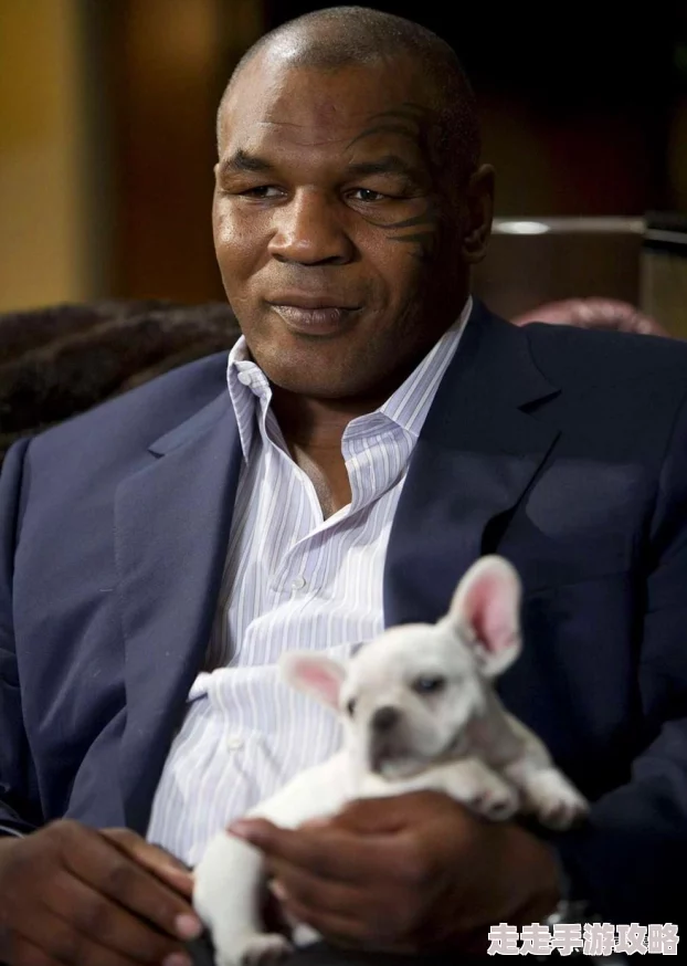 欧美一级精品在线观看画质模糊内容低俗浪费时间