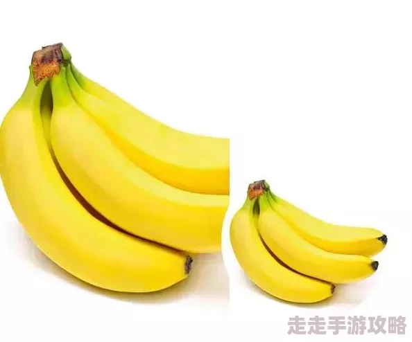 国产精品福利久久香蕉中文内容低俗违规已被举报并查处