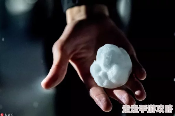 两团雪球挤出各种形状艺术家巧手揉捏呈现逼真十二生肖
