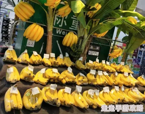 香蕉国产为何如此火爆因为本地种植新鲜直达减少运输损耗口感更佳