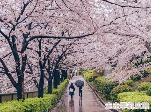 为何男生女生一起相嗟嗟无遮挡嗟火遍全网可能是因为真实的情感表达