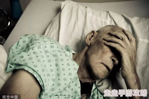 Free性饿老太太为什么展现了对真挚情感的渴望为何引起共鸣