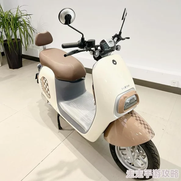 为什么可爱猫咪视频如此受欢迎 因为它们展现了猫咪的萌态治愈人心