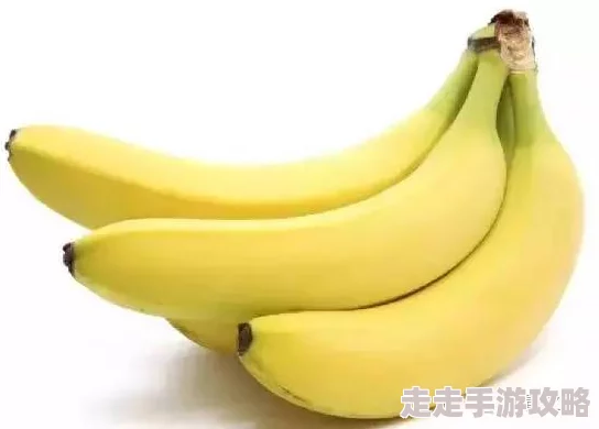 91香蕉为什么这么火爆其独特的社区互动和分享功能功不可没