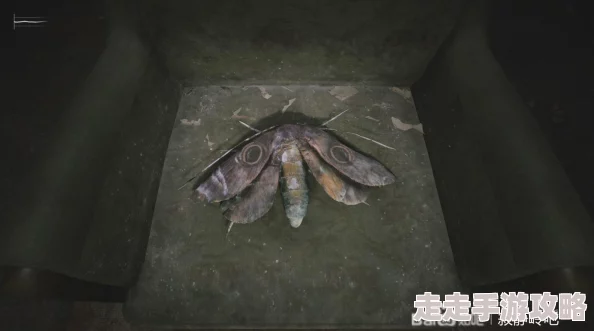 寂静岭2重制版蓝溪公寓全流程攻略：独家爆料隐藏关卡与谜题解析