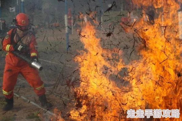 王者荣耀巅峰赛开放时间揭秘：几点到几点进入及参赛攻略爆料