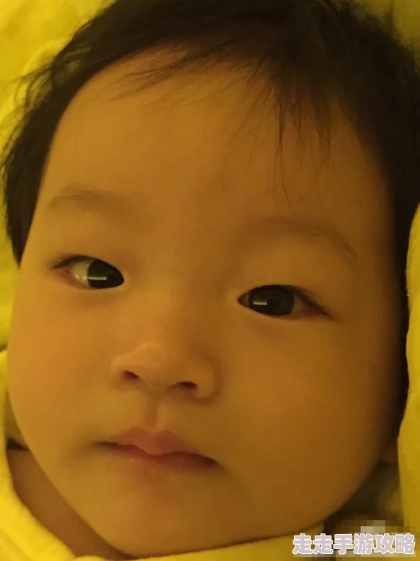 白马王子网友称现实中不存在的完美恋人形象