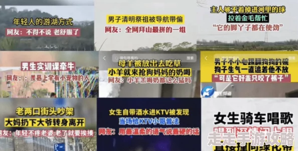 张柏芝一级黄色视频：内容涉嫌违法，请勿传播或观看