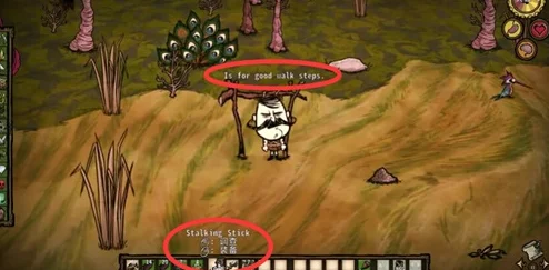 饥荒哈姆雷特揭秘:高效策略与技巧击杀狡猾小偷全爆料 饥荒哈姆雷特揭秘:高效策略与技巧击杀狡猾小偷全爆料